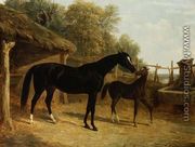 Levity, the property of J.C.Cockerill Esq., with her foal Queen Elizabeth, the property of Lord Dorchester, 1843 - John Frederick Herring Snr