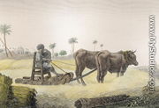 Harvesting Corn, from Volume II Arts and Trades of Description of Egypt  1822 - Nicolas Jacques (after) Conte