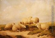 Sheep - Thomas Sidney Cooper