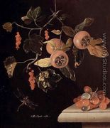 Still Life of Medlars, Redcurrants, Grapes and a Dragonfly, 1686 - Adriaen Coorte