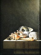 A still life of shells 1698 - Adriaen Coorte