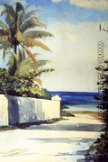 Road in Nassau - Winslow Homer