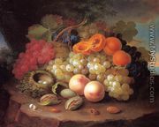 Still Life with Fruit and Bird's Nest - George Forster