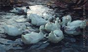 Ducks Feeding - Alexander Max Koester