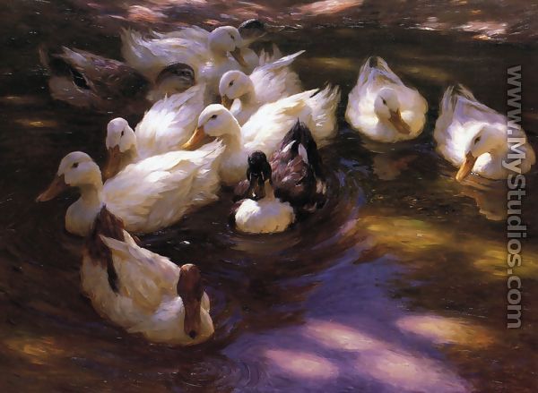 Eleven Ducks in the Morning Sun - Alexander Max Koester
