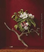 Apple Blossoms in a Corner - Martin Johnson Heade