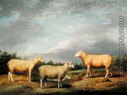 Ryelands Sheep, the King's Ram, the Kings Ewe and Lord Somervilles Wether, c.1801-07 - James Ward