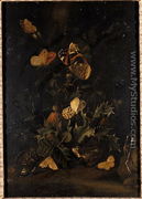 Flowers with butterflies and toad - Johann Christian Thomas Winck