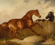 Stallion and Mare - Thomas Woodward
