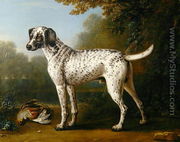 Grey spotted hound, 1738 - John Wootton