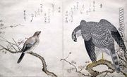 Falcon on the right, a Bull-headed Shrike on the left, from an album Birds compared in Humorous Songs, 1791 - Kitagawa Utamaro