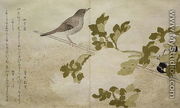 Manchurian Great Tit and a Robin, from an album Birds compared in Humorous Songs, 1791 - Kitagawa Utamaro