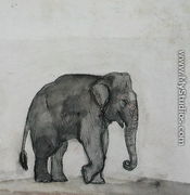 Elephant, c.1790 - Gungaram Tambat