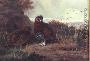 Grouse in a Winter Landscape - Archibald Thorburn