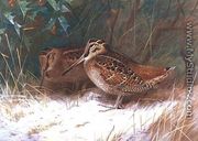 Woodcock in the Undergrowth - Archibald Thorburn