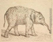 Elephant - Johann Heinrich Wilhelm Tischbein