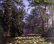 River Cherwell Waterlilies - William (Turner of Oxford) Turner