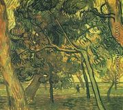 Study Of Pine Trees - Vincent Van Gogh