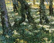 Tree Trunks With Ivy - Vincent Van Gogh
