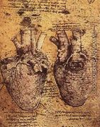 Heart And Its Blood Vessels - Leonardo Da Vinci
