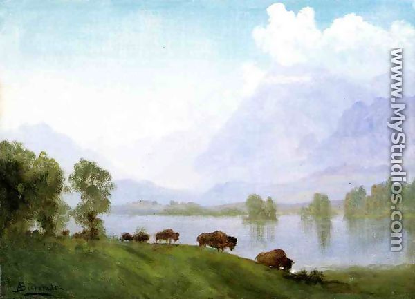Buffalo Country - Albert Bierstadt