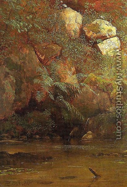 Ferns And Rocks On An Embankment - Albert Bierstadt