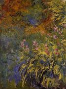 Irises - Claude Oscar Monet