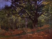 The Bodmer Oak  Fontainebleau - Claude Oscar Monet