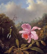 Fighting Hummingbirds With Pink Orchid - Martin Johnson Heade