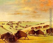 Buffalo Bulls Fighting in Running Season, Upper Missouri, 1837-39 - George Catlin
